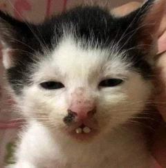 こんにちは(?????▽?????)