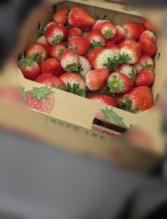 明日は