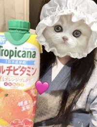 水曜日です(´・ω・｀)