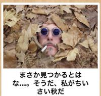 まだ梅雨にもなってないけど