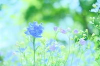 待ちナビ　しずく
