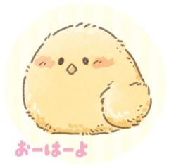 おーはーよ。