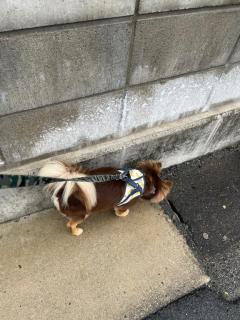 おはよー??