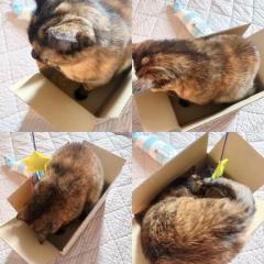 ずっぽし..