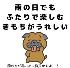 梅雨に備えて