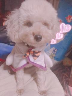夜這い専門人妻俱楽部花魁　まゆ♡潮吹き姫