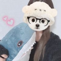 まだご案内できます