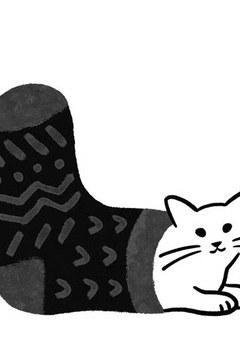 テスト