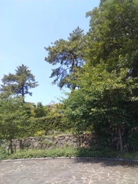 昨日のお礼♀