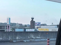 ただぃま