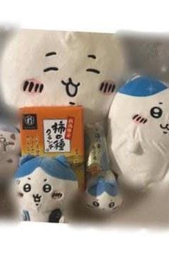 やったー！！