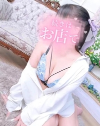 ななせの取り扱い説明書