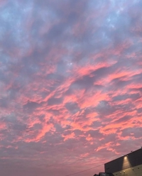 紫の空