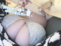 なんか懐かしい