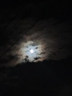 今日の夜空も最高です。タイミングとカメラの用意逃した