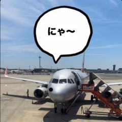 今から！
