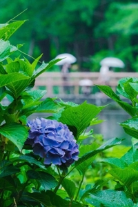 待ちナビ　しずく