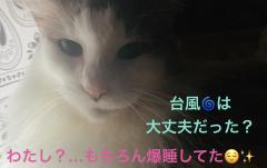 台風は…