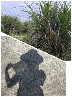 片頭痛です