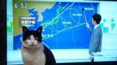 こんにちは?????