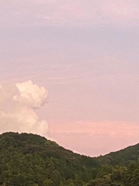 O様