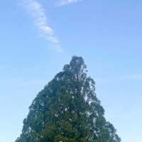 待機中です