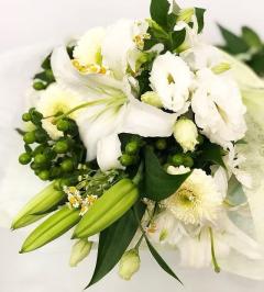 キャンディ　ラナ
