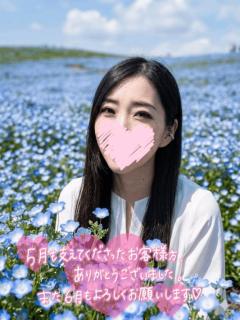 お礼とお知らせ
