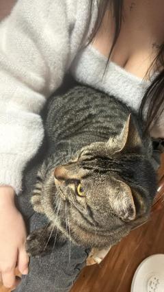 お休み