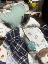 現行犯です