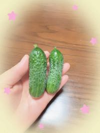 家庭菜園