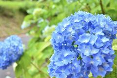 一夜の愛人　もか