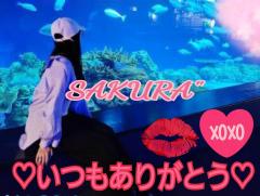 MICHELIN ミシュラン(沖縄市) サクラSakura