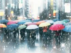 commit　みどり【五十路】