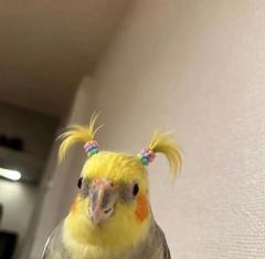 10:00から0じまでいてマイナス