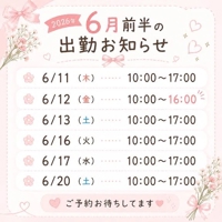 フェアリー　のん
