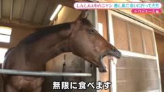 INFINITY沖縄　うぃ【㊙️対応キャスト】
