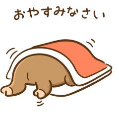 ぉゃすみ ~??