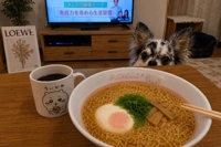 悩みに悩んだ結果…