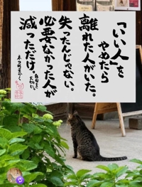 本日のささった格言( ** )
