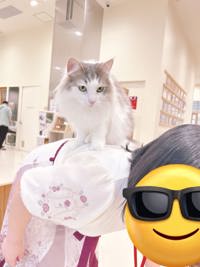 出勤しております！