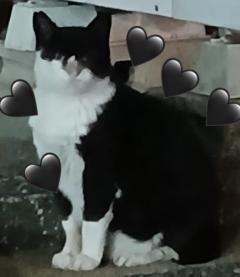 こんばんは