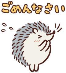急遽一週間お休みします??♀