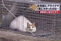 INFINITY沖縄　うぃ【㊙️対応キャスト】