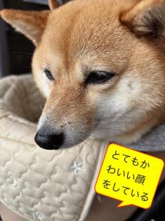 鹿児島ちゃんこ 天文館店　たお