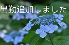 爆安＜元祖＞どすこい倶楽部　★体験さおり★宮崎店