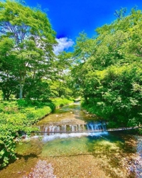 八幡近隣に来てます