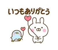 今日は…