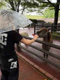 はんなのオフ???