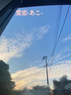 cherish　愛恋（あこ）